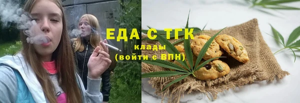 ECSTASY Горняк