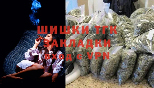 ECSTASY Горняк