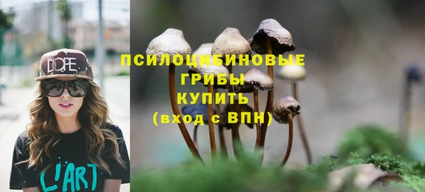 ECSTASY Горняк