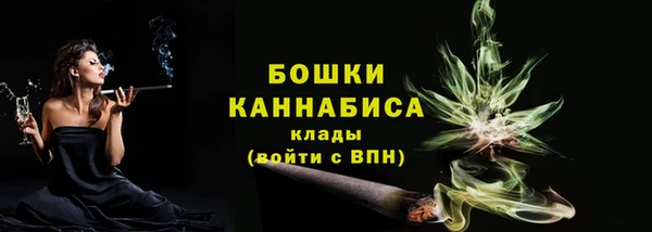 круглые Гусев