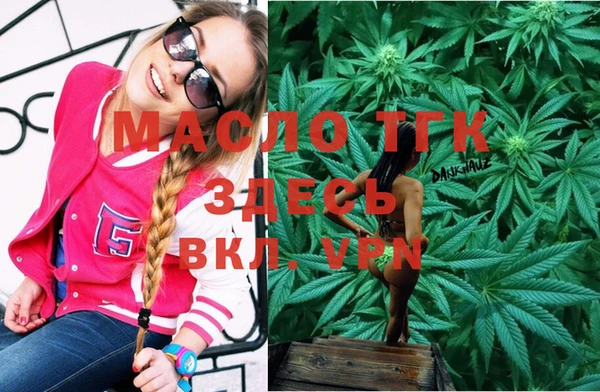 ECSTASY Горняк