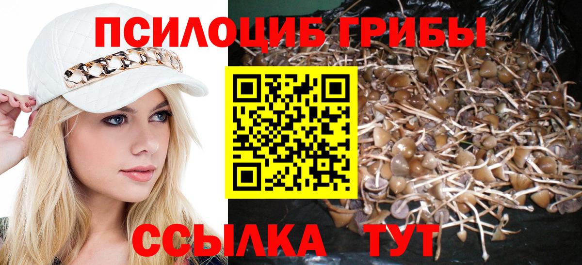 Галлюциногенные грибы мухоморы Воскресенск