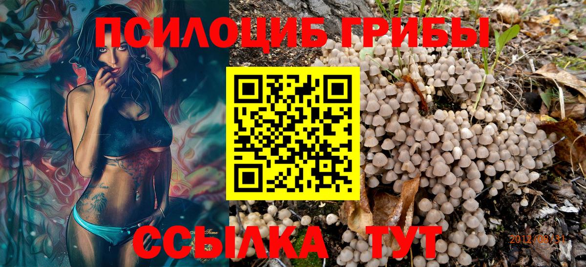Псилоцибиновые грибы Psilocybe  Воскресенск 